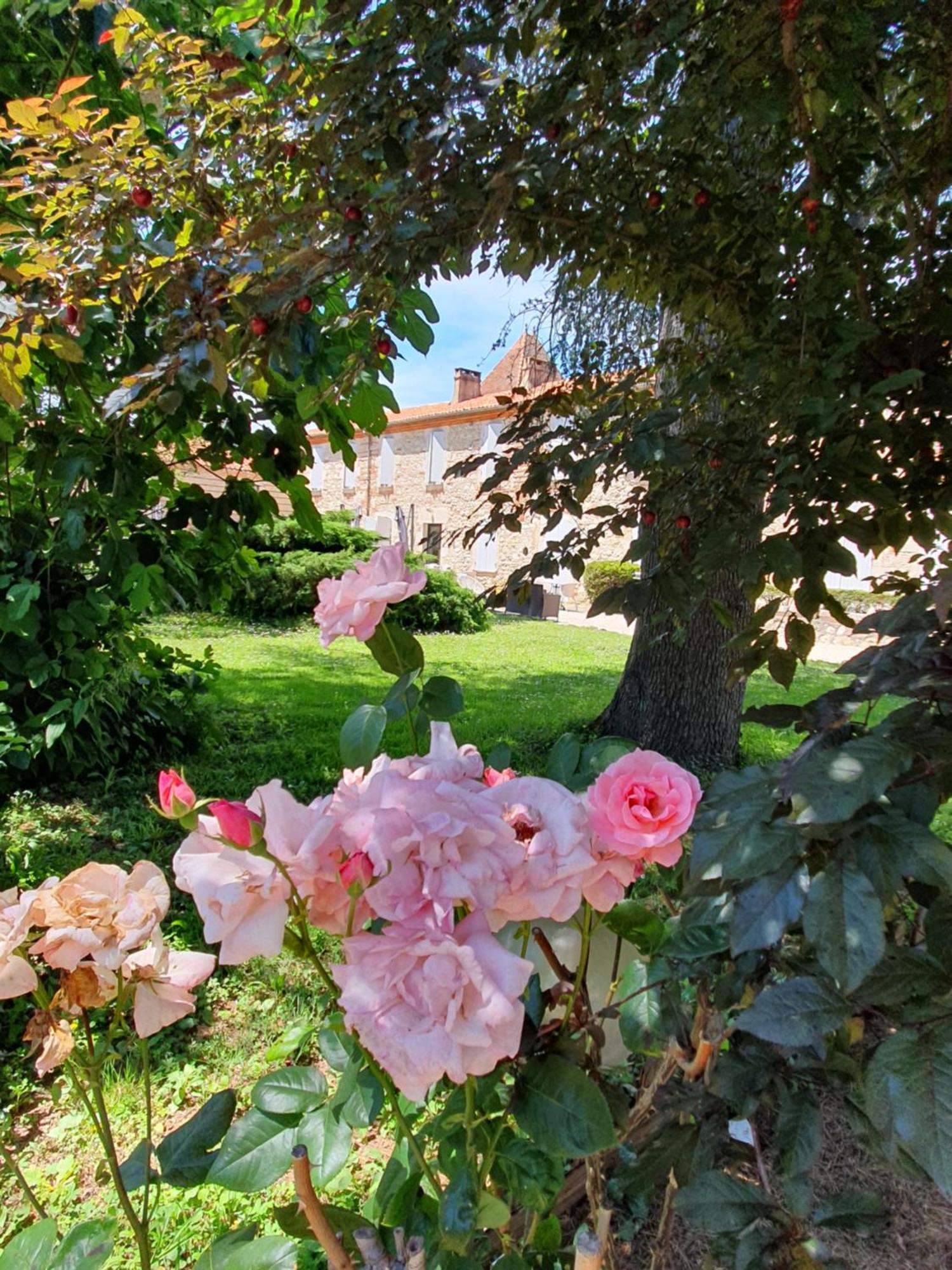 Logis Hotel Le Prince Noir Serignac-sur-Garonne Екстер'єр фото